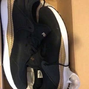 Black and gold puma